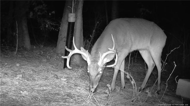 196 Autumn Drive, Vass, NC 28394