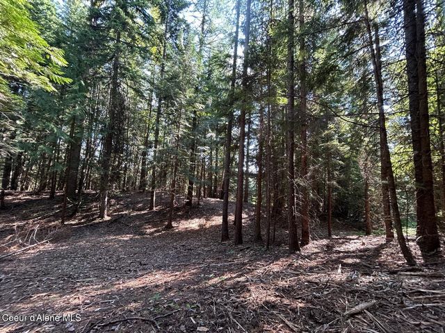 Lot 7 Bk 1 Fall Creek Rd, Naples, ID 83847
