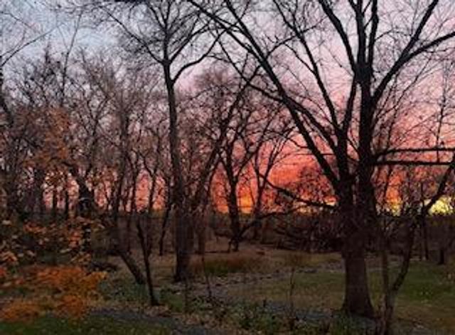 8323 W Franklin Avenue, Saint Louis Park, MN 55426