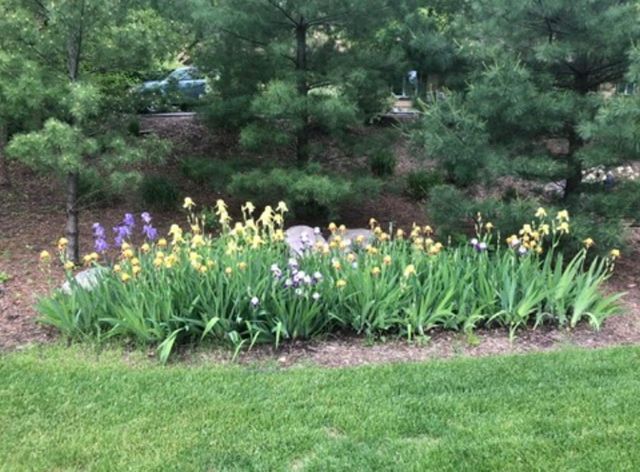 8323 W Franklin Avenue, Saint Louis Park, MN 55426