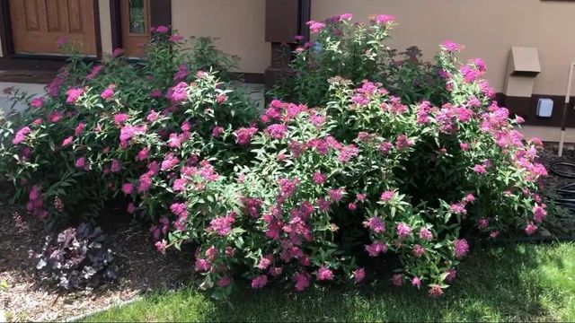 8323 W Franklin Avenue, Saint Louis Park, MN 55426