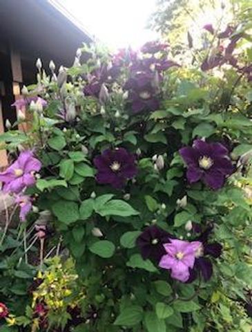 8323 W Franklin Avenue, Saint Louis Park, MN 55426