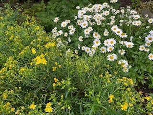 8323 W Franklin Avenue, Saint Louis Park, MN 55426