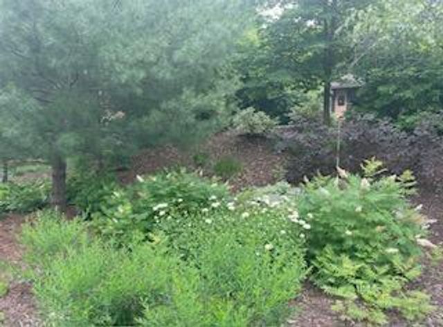 8323 W Franklin Avenue, Saint Louis Park, MN 55426