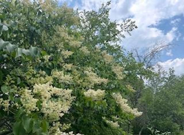 8323 W Franklin Avenue, Saint Louis Park, MN 55426