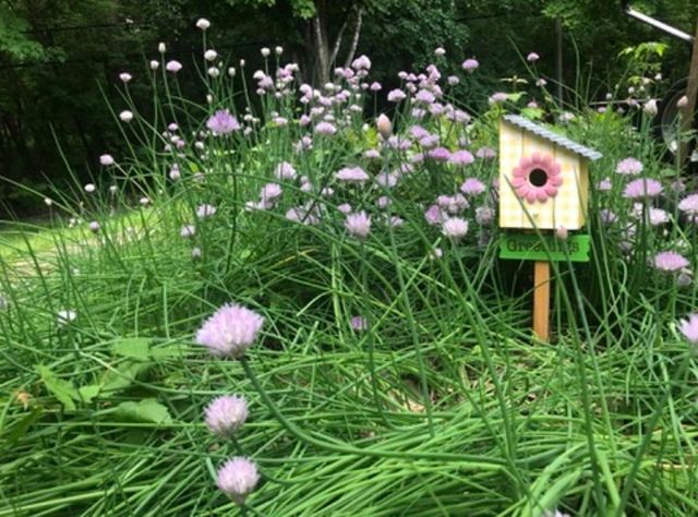 8323 W Franklin Avenue, Saint Louis Park, MN 55426