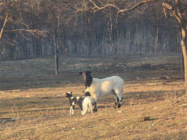 7145 County Road 1009 Road, Godley, TX 76044