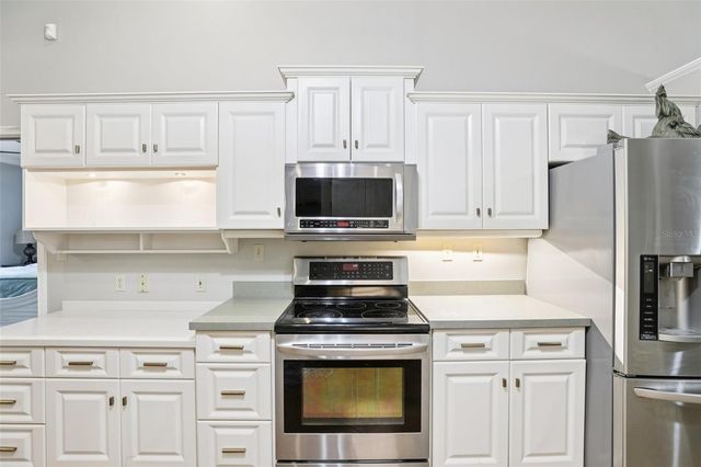 22301 CORONADO SOMERSET DRIVE, Sorrento, FL 32776