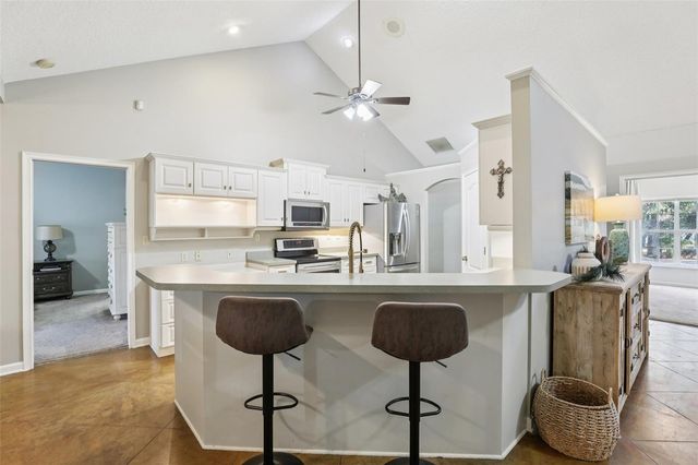 22301 CORONADO SOMERSET DRIVE, Sorrento, FL 32776