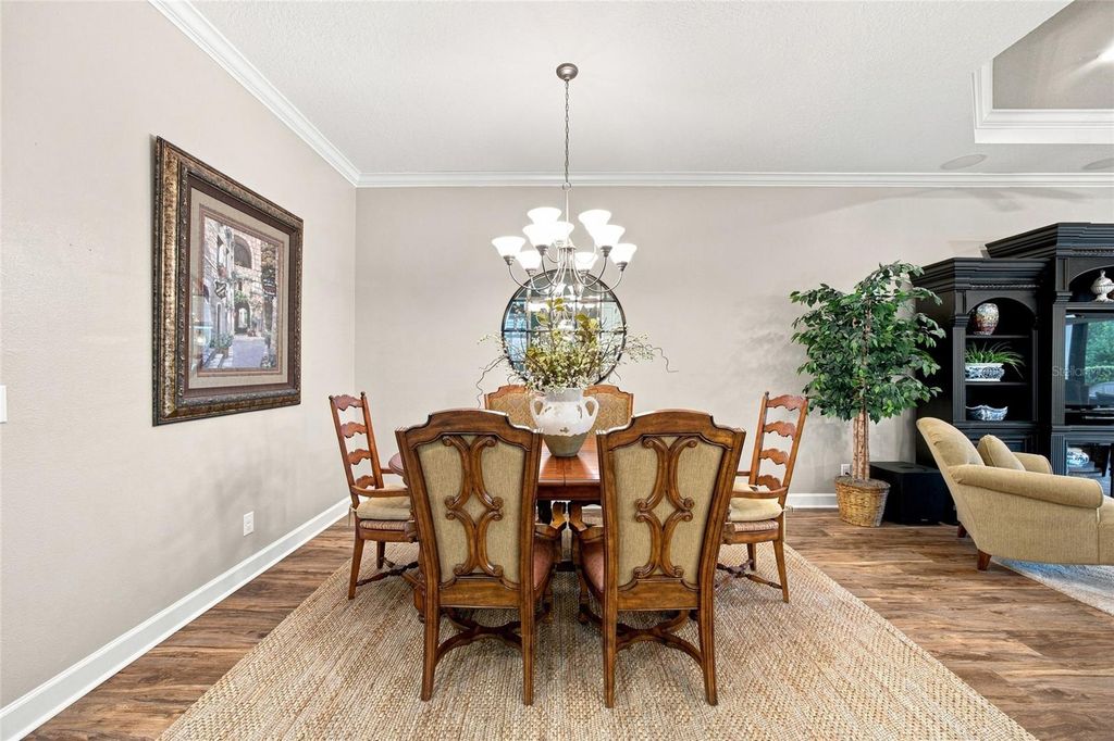Image 24 of property listing at 8557 GRAND ALBERATO ROAD, Tampa, FL 33647