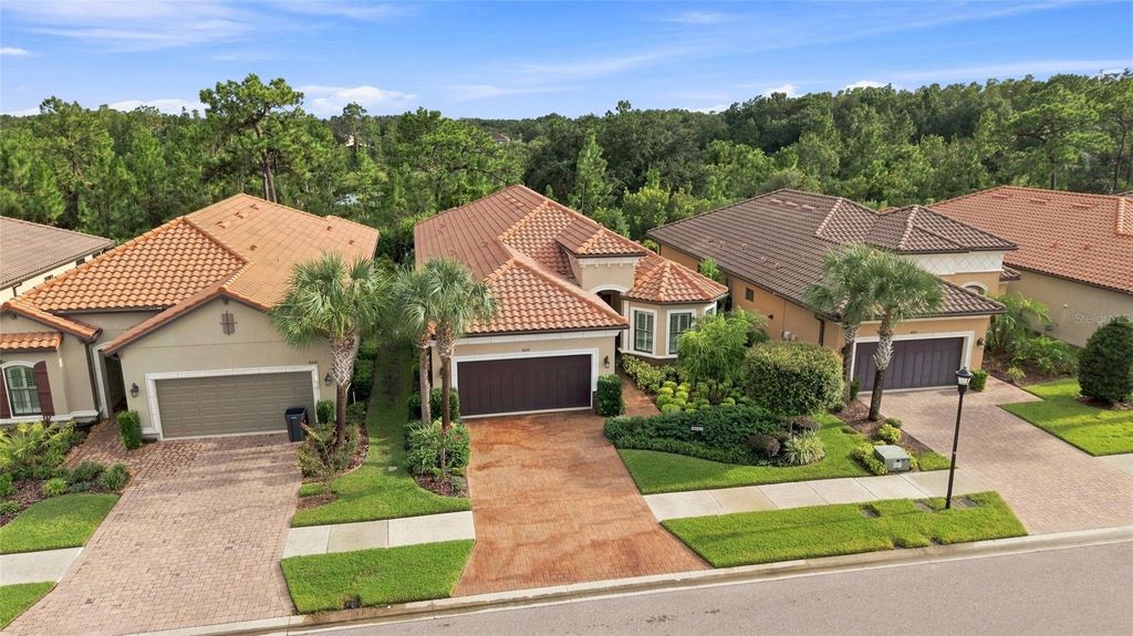 Image 47 of property listing at 8557 GRAND ALBERATO ROAD, Tampa, FL 33647