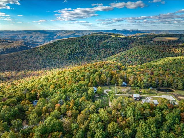 2306 NC Road 8050, Jasper, AR 72641