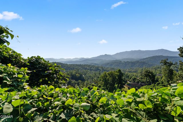 828 Beanstalk Road, Gatlinburg, TN 37738