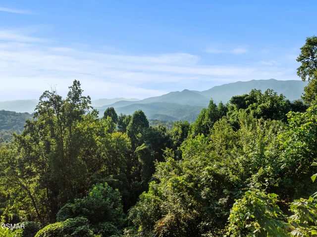 828 Beanstalk Road, Gatlinburg, TN 37738