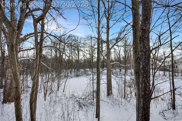 1041 Walloon Court, Lake Orion, MI 48360