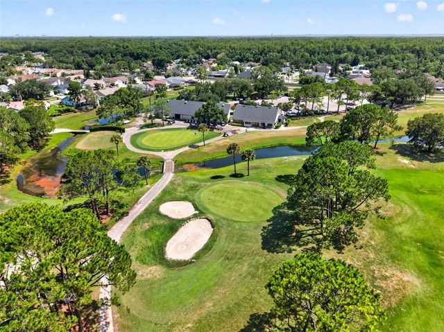 11123 CLAYRIDGE DRIVE, Tampa, FL 33635