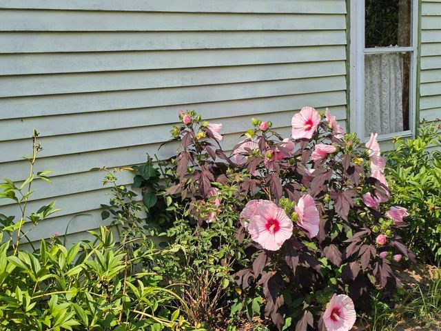 294 Plymouth St, Middleboro, MA 02346
