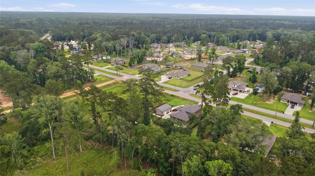 3007 Roman Forest Boulevard, New Caney, TX 77357