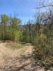 Tbd Tulip Poplar Trail Extension, Butler, TN 37640