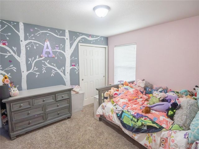 8806 Silver Glen Drive, Fountain, CO 80817