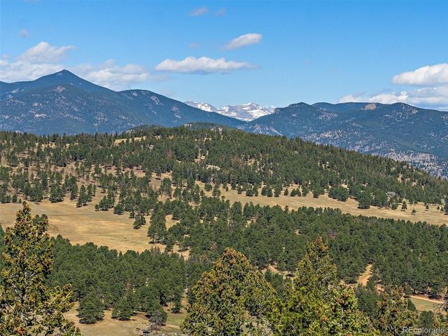 26591 Wolverine Trl, Evergreen, CO 80439