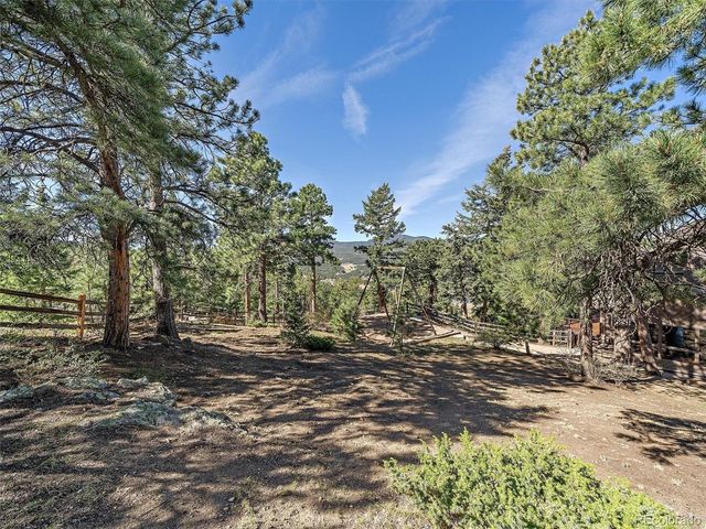 26591 Wolverine Trl, Evergreen, CO 80439