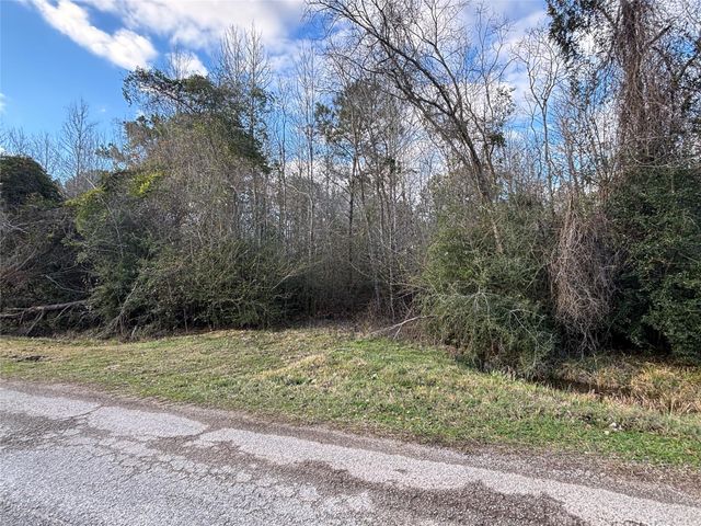 0 Tx-321, Dayton, TX 77535