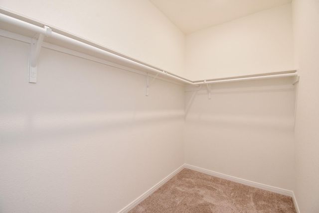 1003 Haven Hill Ln, La Marque, TX 77568