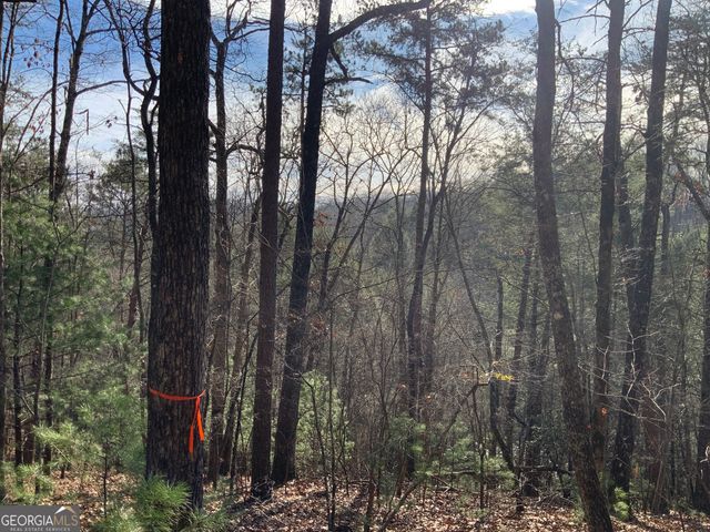 0 FIGHTINGTOWN CREEK, Mccaysville, GA 30555