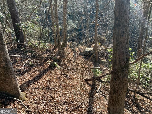 0 FIGHTINGTOWN CREEK, Mccaysville, GA 30555