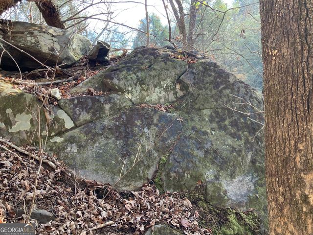 0 FIGHTINGTOWN CREEK, Mccaysville, GA 30555