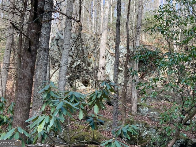 0 FIGHTINGTOWN CREEK, Mccaysville, GA 30555