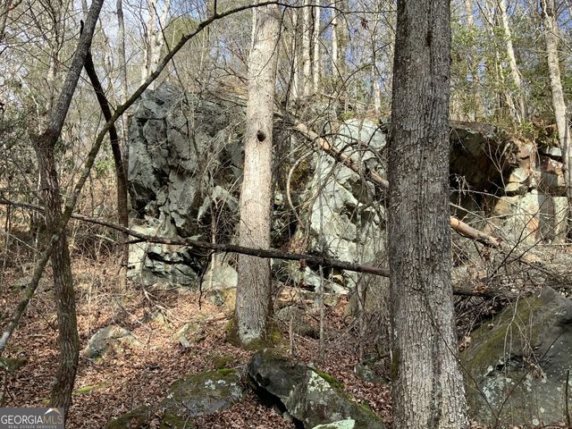 0 FIGHTINGTOWN CREEK, Mccaysville, GA 30555