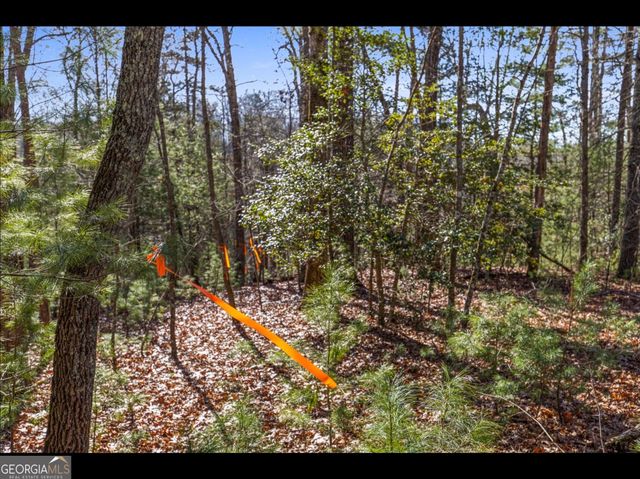 0 FIGHTINGTOWN CREEK, Mccaysville, GA 30555