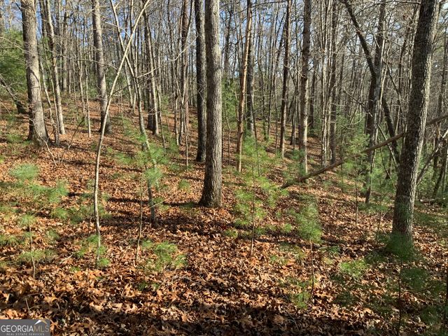 0 FIGHTINGTOWN CREEK, Mccaysville, GA 30555