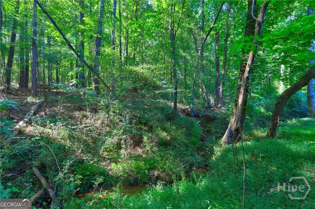 0 New Hope Church Road, Loganville, GA 30052