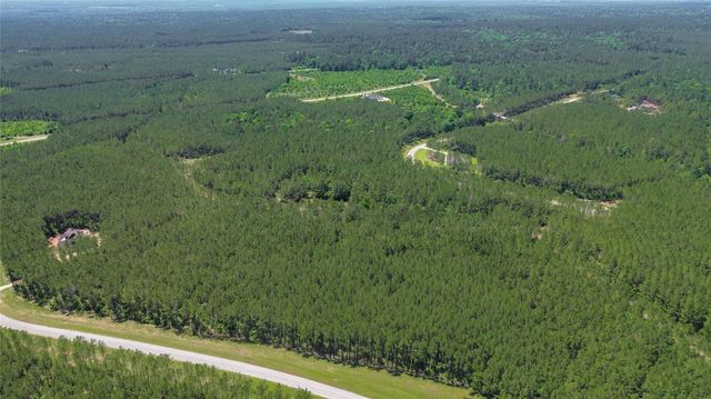 16215 Golden Wood Court, Willis, TX 77378