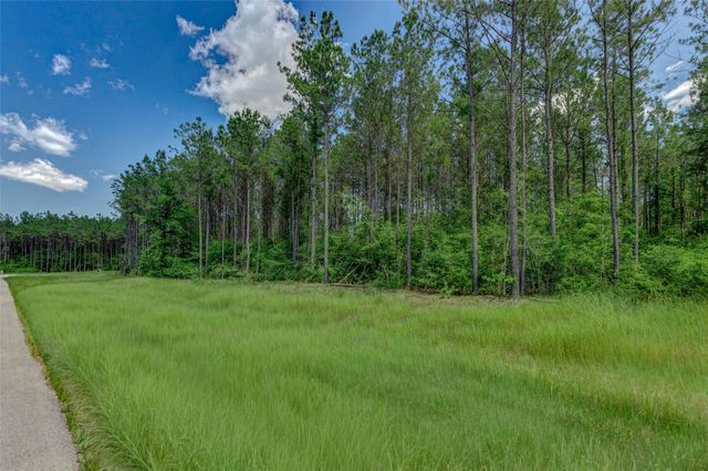 16215 Golden Wood Court, Willis, TX 77378