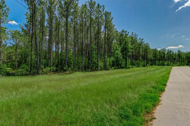 16215 Golden Wood Court, Willis, TX 77378