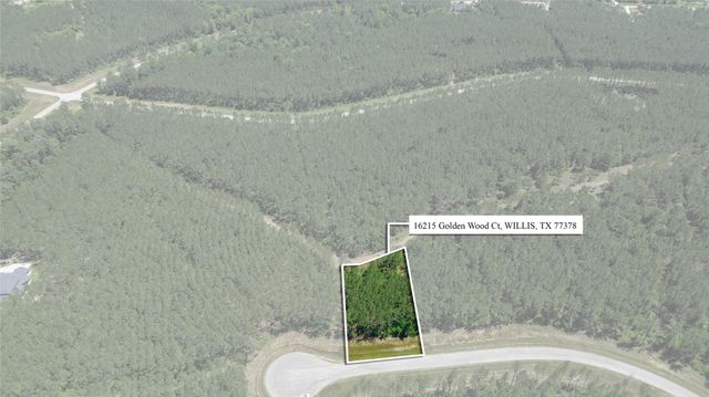 16215 Golden Wood Court, Willis, TX 77378