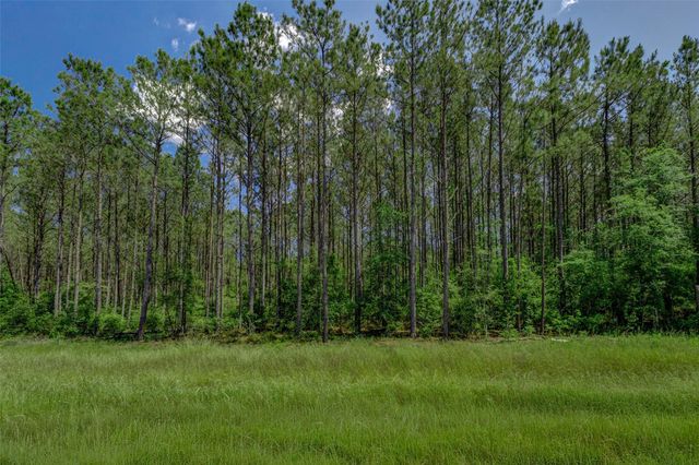 16215 Golden Wood Court, Willis, TX 77378
