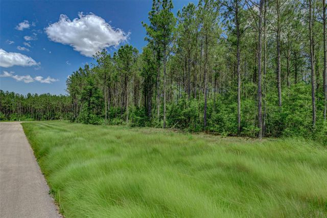 16215 Golden Wood Court, Willis, TX 77378