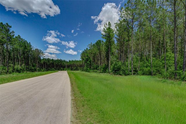 16215 Golden Wood Court, Willis, TX 77378