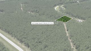 16215 Golden Wood Court, Willis, TX 77378