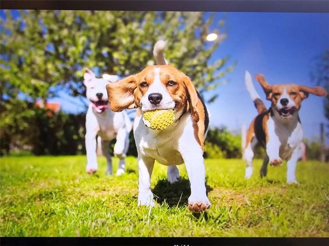 219 Parnassus Avenue, Locust Grove, GA 30248