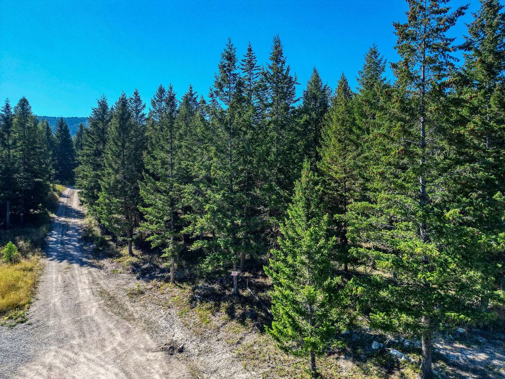 232 Wild Bill Trail, Kila, MT 59920 photo 11