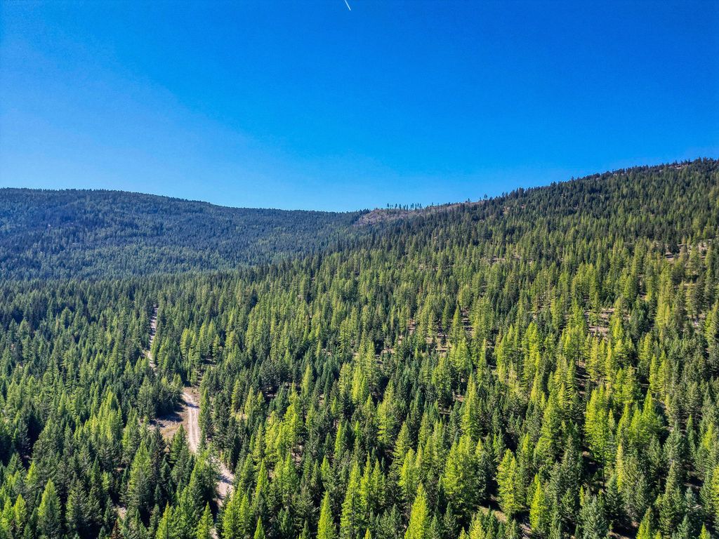 232 Wild Bill Trail, Kila, MT 59920 photo 16