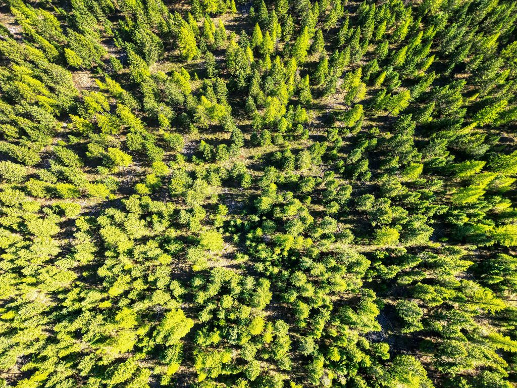 232 Wild Bill Trail, Kila, MT 59920 photo 29