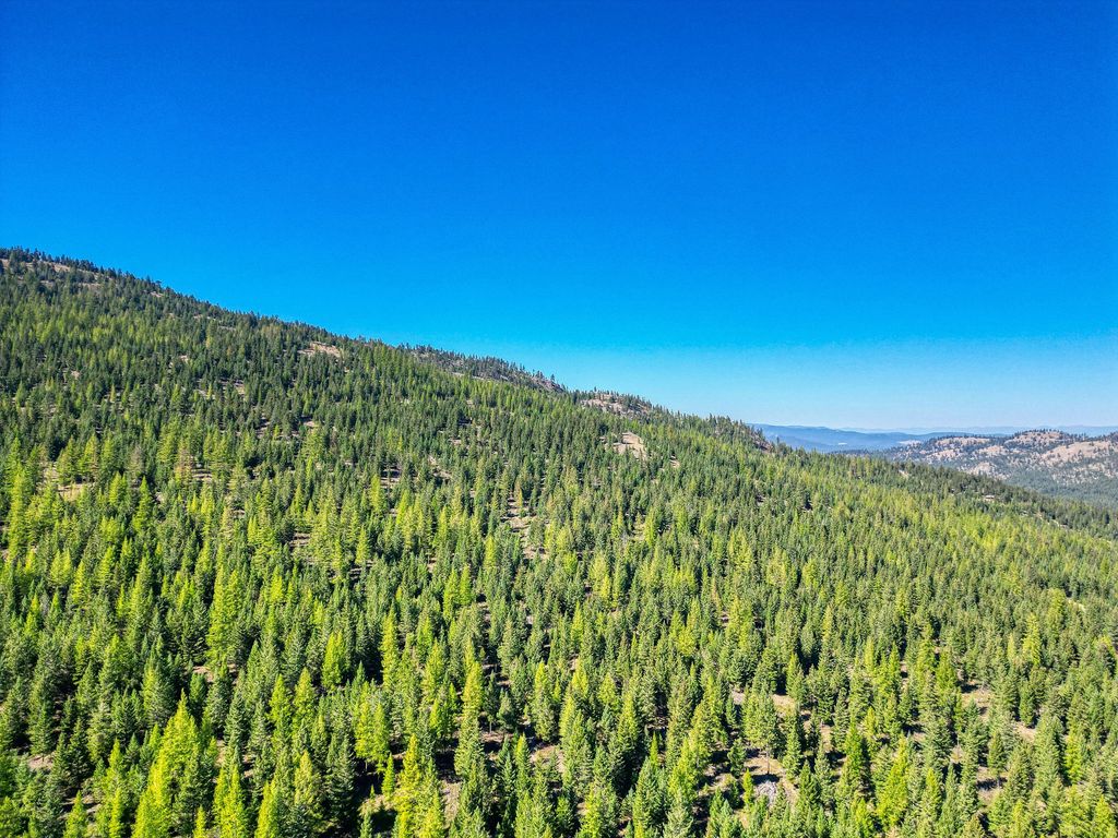 232 Wild Bill Trail, Kila, MT 59920 photo 30