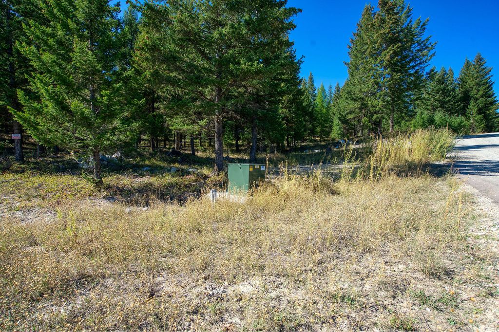232 Wild Bill Trail, Kila, MT 59920 photo 7